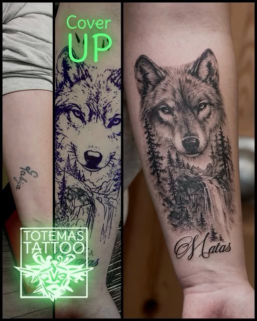 Vilkas – senos tatuiruotės dengimas, prieš ir po